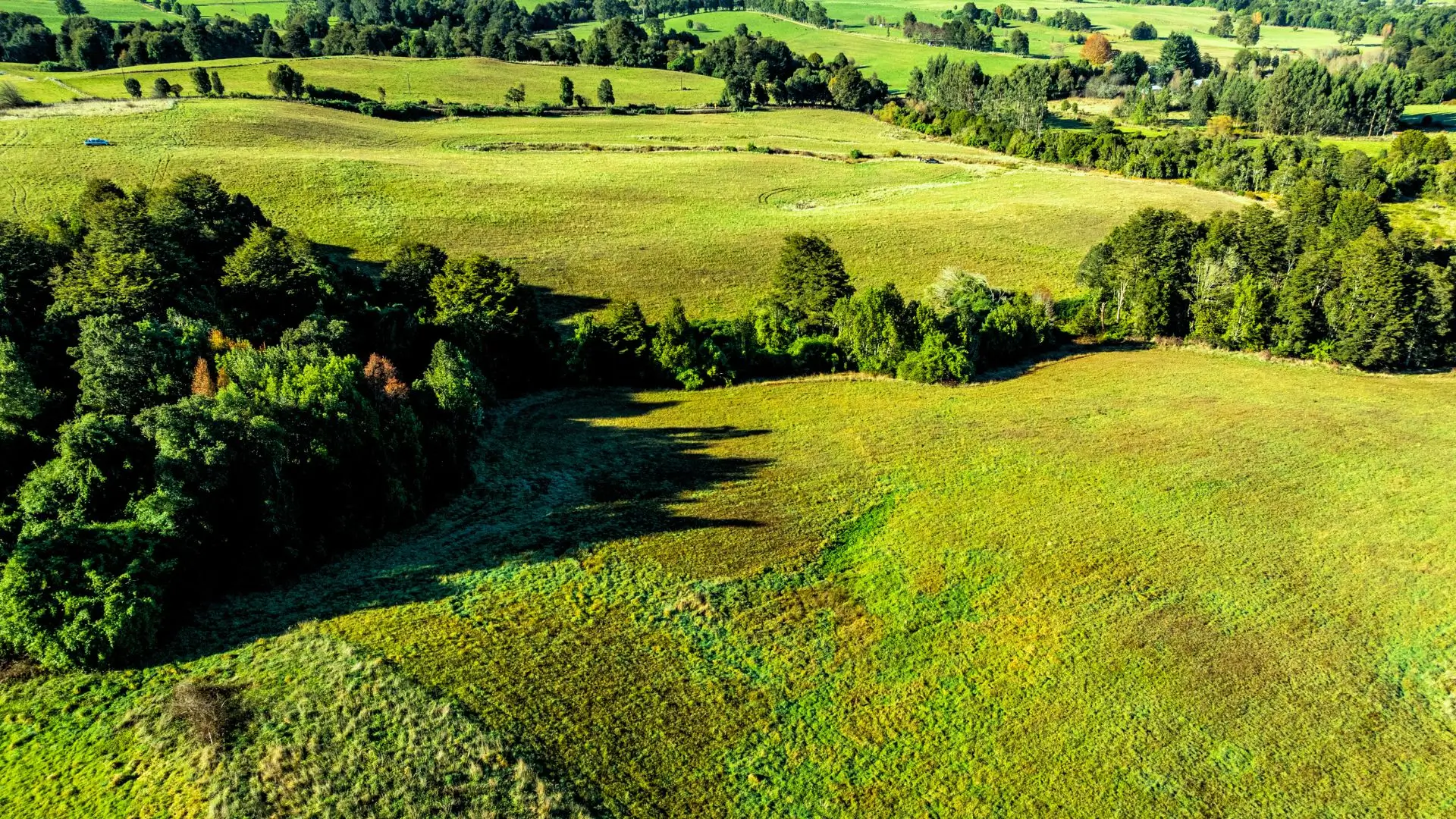 foto-proyecto-de-parcelas-parque-los-muermos (1)
